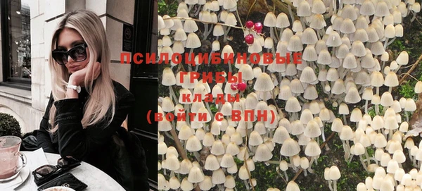 apvp Алексин